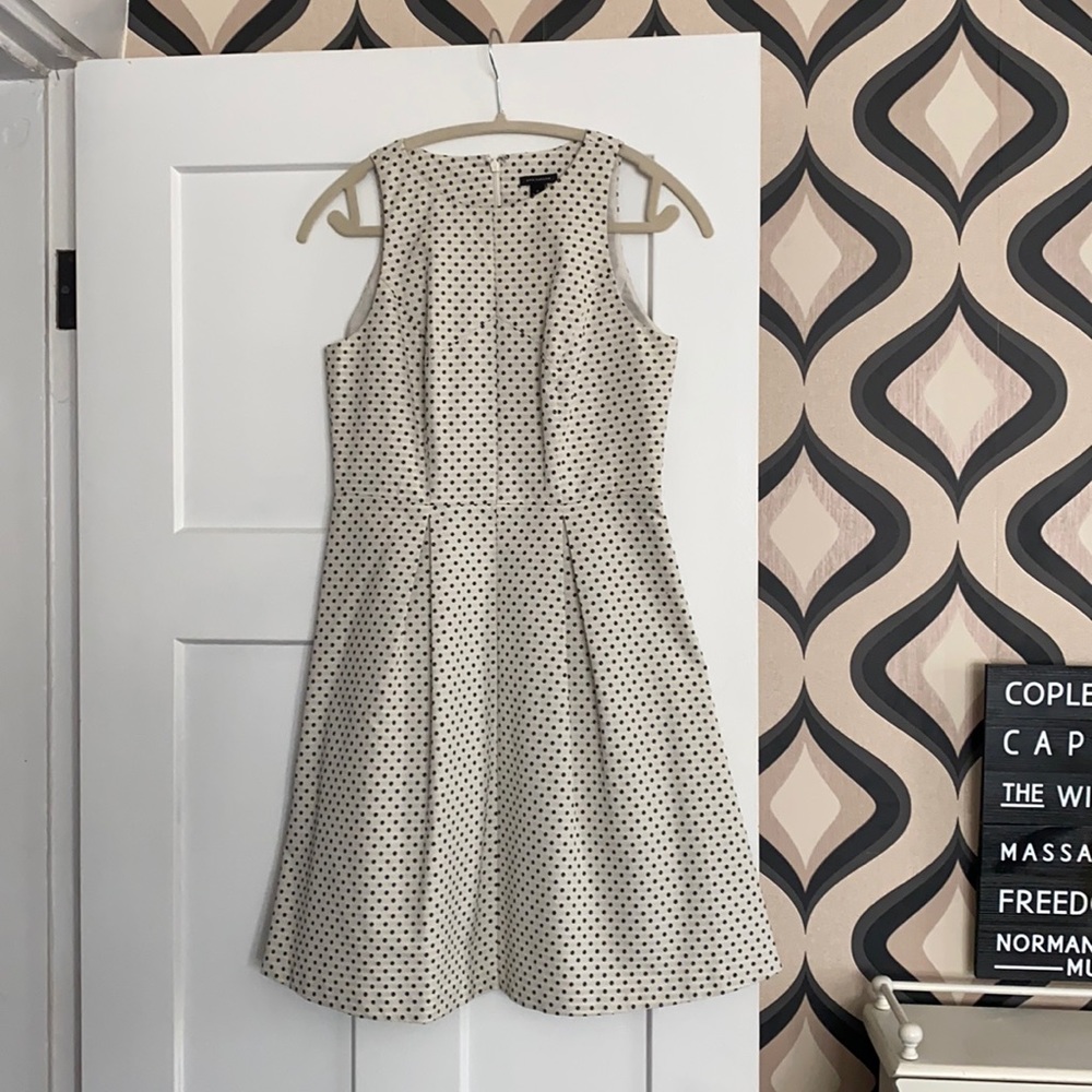EUC ivory and navy dot ann taylor dress size 2